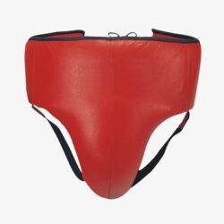 Groin / Abdominal Guard